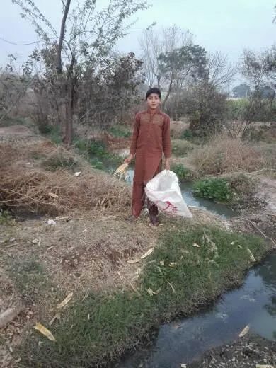 Green Seekers Activity